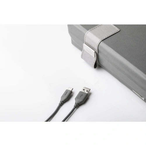 Przenośny sanityzator UV-C Moshi Deep Purple LED (szary)