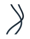 Baseus High Density Braided Cable Type-C to Lightning, PD, 20W, 2m (blue)