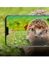 Wholesale Ringke Invisible Defender iPhone XS/X 5.8 Case Friendly - RGK773 - {ean13} - Hurt