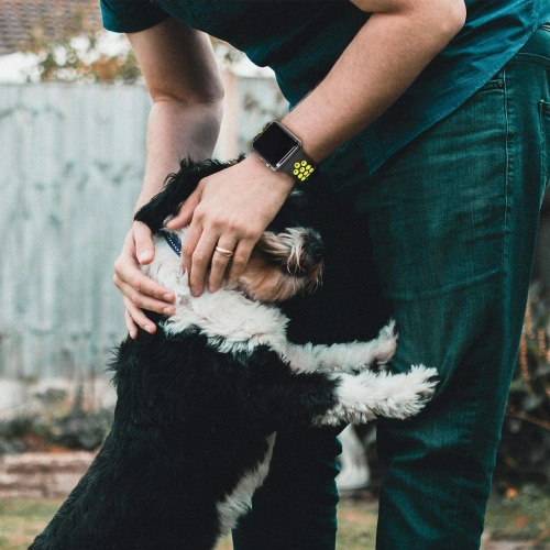 Pasek Tech-Protect Softband Apple Watch 4/5/6/7/SE/8/9/Ultra 44/45/49mm Black/lime