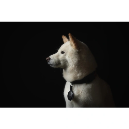 Etui Moshi Key Ring Apple AirTag (Jet Black)