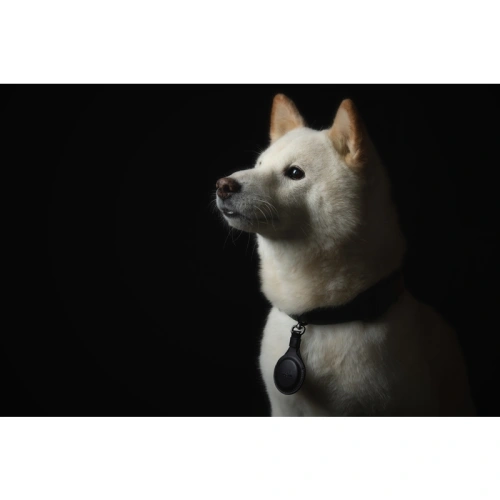 Etui Moshi Key Ring Apple AirTag (Jet Black)