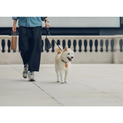 Etui Moshi Key Ring Apple AirTag (Jet Black)