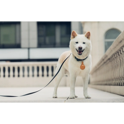 Etui Moshi Key Ring Apple AirTag (Jet Black)