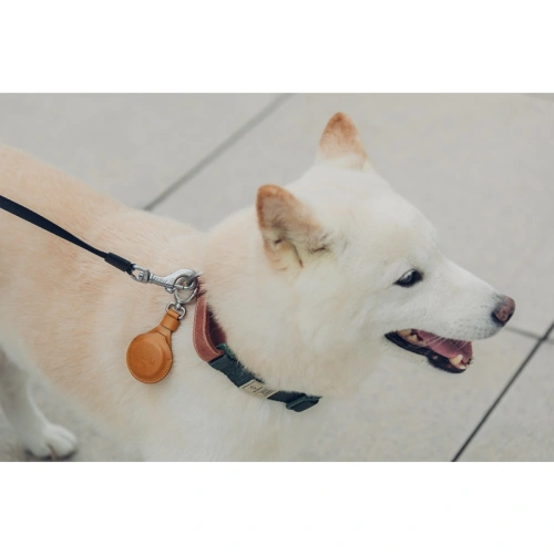 Etui Moshi Key Ring Apple AirTag (Jet Black)