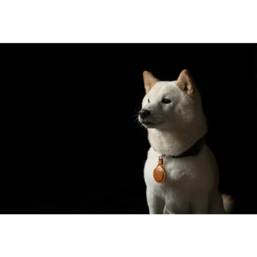 Etui Moshi Key Ring Apple AirTag (Caramel Brown)