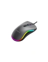 Hurtownia GSM - Mysz uniwersalna Havit MS72 RGB - HVT133 - {ean13} - Hurt