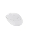 Hurtownia GSM - Bezprzewodowa mysz uniwersalna Havit MS76GT 800-1600 DPI (biała) - HVT136WHT - {ean13} - Hurt