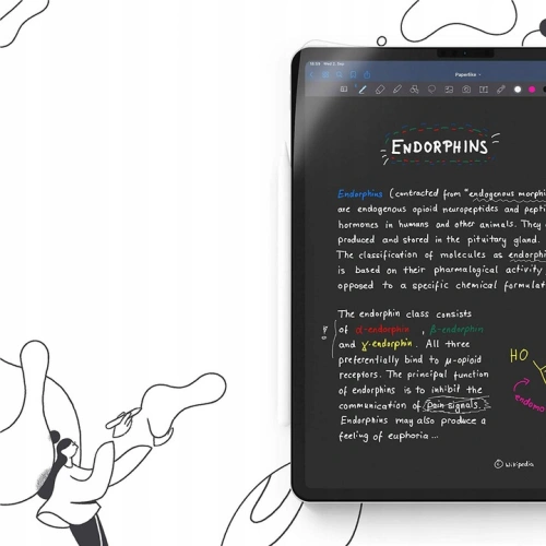 Folia Paperlike Apple iPad Pro 12.9 2020/2021 (4. i 5. generacji) [2 PACK]