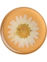 Wholesale POPSOCKETS Holder Premium Pressed Flower White Daisy - POP017 - {ean13} - Hurt