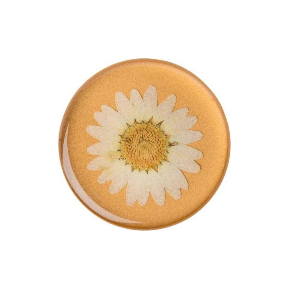 Wholesale POPSOCKETS Holder Premium Pressed Flower White Daisy - POP017 - {ean13} - Hurt
