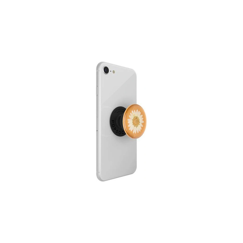 Wholesale POPSOCKETS Holder Premium Pressed Flower White Daisy - POP017 - {ean13} - Hurt