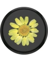 Wholesale POPSOCKETS Holder Premium Pressed Flower Yellow Daisy - POP018 - {ean13} - Hurt