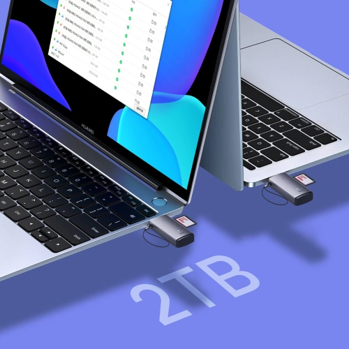 Czytnik kart SD/TF Baseus Lite Series USB szary