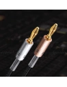 Wholesale UGREEN AV152 two-channel speaker cable with banana plug - UGR1363BAN - {ean13} - Hurt