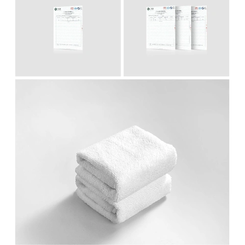 Spray do czyszczenia wnętrza samochodu Baseus Auto-care  300ml biały