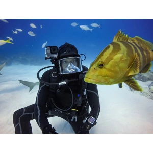 Tech-Protect Waterproofcase Gopro Hero 5/6/7 Clear