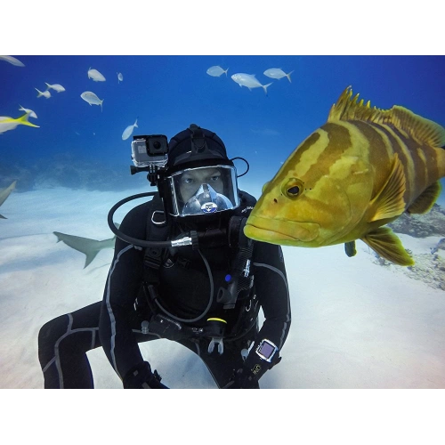 Etui Tech-Protect Waterproofcase Gopro Hero 5/6/7 Clear