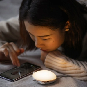 Wholesale Baseus wireless hand warmer with a tourist lamp gray - BSU3487 - {ean13} - Hurt