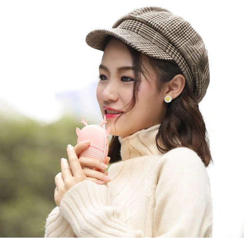 Bezprzewodowy ogrzewacz dłoni Baseus z lampką turystyczną szary