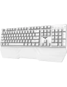 Hurtownia GSM - Zestaw gamingowy 2w1 Havit KB389L Klawiatura + myszka (biały) - HVT192 - {ean13} - Hurt