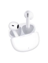 Wholesale QCY T20 TWS Earphones (white) - QCY40 - {ean13} - Hurt