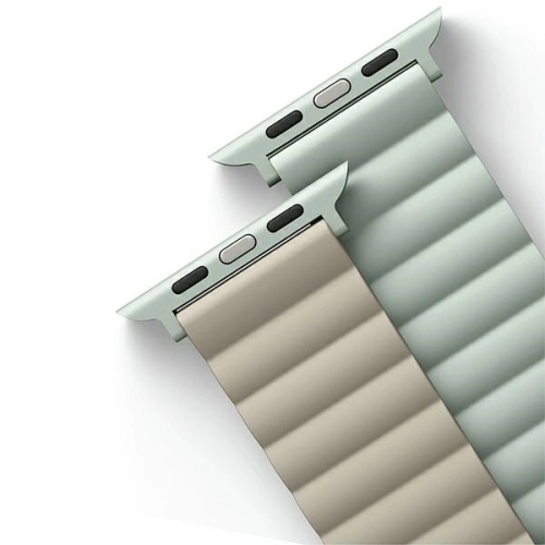 Pasek UNIQ Revix Apple Watch 4/5/6/7/8/SE/SE2/9/10 40/41/42mm Reversible Magnetic zielony-beżowy/sage-beige