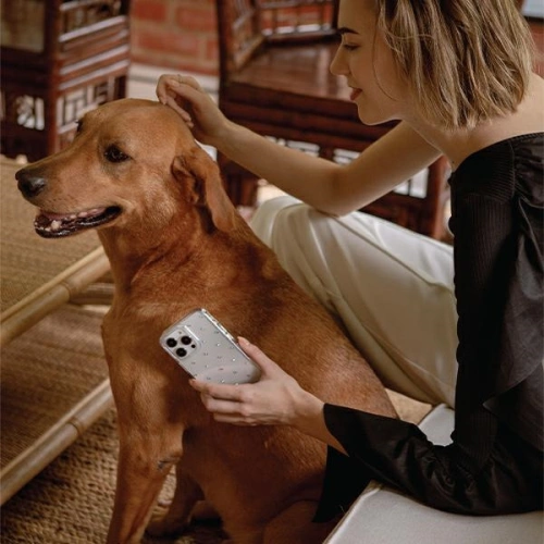 Etui UNIQ Coehl Solitaire Apple iPhone 14 przezroczysty/clear