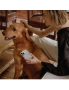 Wholesale UNIQ Coehl Solitaire Apple iPhone 14 Pro Max clear - UNIQ789 - {ean13} - Hurt
