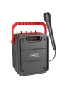 Karaokeset Dudao Lautsprecher + Mikrofon Bluetooth 5.0 10W 4800mAh schwarz (Y15s)