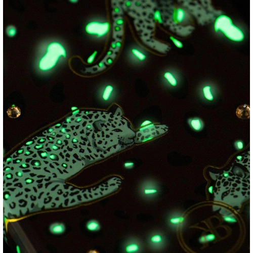 Etui Kingxbar Forest Swarovski Apple iPhone 11 Pro wielokolorowy (Feather)