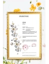 Wholesale Kingxbar Blossom Swarovski Apple iPhone 11 Pro Max multicolor (Daisy) - KGX246 - {ean13} - Hurt