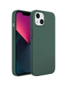 Case Kingxbar PQY Silikon MagSafe Apple iPhone 13 Pro grün