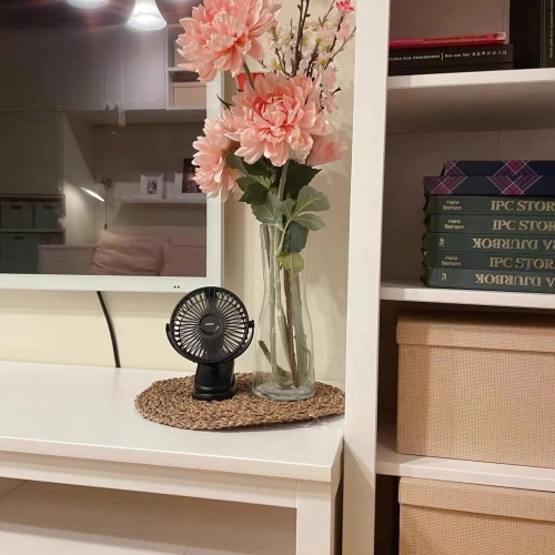 Wentylator biurkowy przenośny Joyroom CheerSummer czarny (JR-CY363-black)