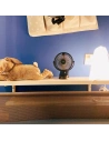 Hurtownia GSM - Přenosný stolní ventilátor Joyroom CheerSummer černý (JR-CY363-black) - JYR398 - {ean13} - Hurt