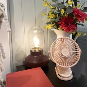 Wholesale Joyroom CheerSummer portable desk fan remote control pink (JR-CY363-RC pink) - JYR400 - {ean13} - Hurt