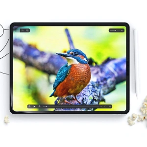 Wholesale Hofi Paper Pro+ Apple iPad 10.2 2019/2020/2021 (7, 8, 9 gen) Matte Clear [2 PACK] - HOFI312 - {ean13} - Hurt