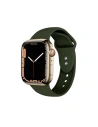 Wholesale Belt Crong Liquid Apple Watch 4/5/6/7/SE/8/9/Ultra 44/45/49mm (green) - CRG149 - {ean13} - Hurt