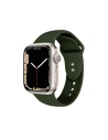 Wholesale Belt Crong Liquid Apple Watch 4/5/6/7/SE/8/9/Ultra 44/45/49mm (green) - CRG149 - {ean13} - Hurt