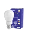 Wholesale Smart Bulb LED Sonoff B02-B-A60 (white) - SNF88 - {ean13} - Hurt