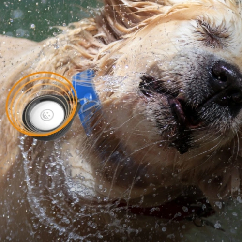 Etui Catalyst Total Protection Apple AirTag czarne