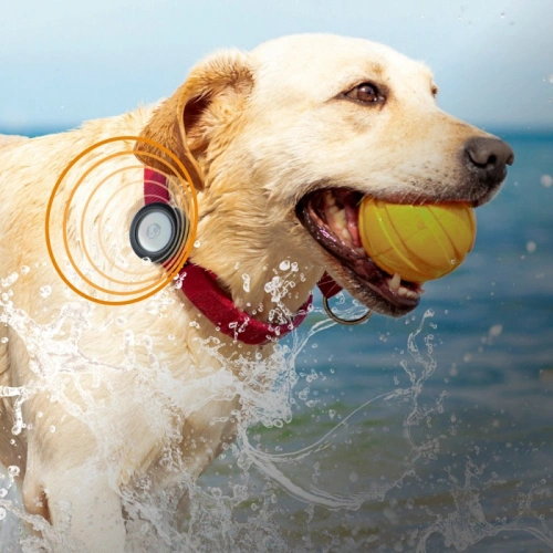 Etui Catalyst z klipsem Total Protection Apple AirTag czarne