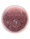 Hurtownia GSM - Suport pentru telefon POPSOCKETS 2 Tidepool Rose 801570 - POP423 - {ean13} - Hurt