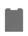 Wholesale PanzerGlass Standard Super+ Apple iPhone 13 mini Privacy Antibacterial P2741 - PZG328 - {ean13} - Hurt