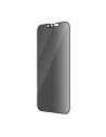 Wholesale PanzerGlass Ultra-Wide Fit Apple iPhone 14/13/13 Pro Privacy Screen Protection Antibacterial P2771 - PZG339 - {ean13} - Hurt