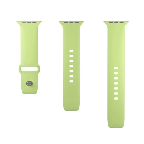 Pasek PURO ICON Apple Watch 4/5/6/7/SE/8/9/10 40/41/42mm (S/M & M/L) (Matcha Green)