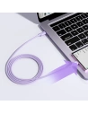 Hurtownia GSM - Kabel Joyroom S-CC100A14 USB-C/USB-C 100W 1,2 m violet - JYR757 - {ean13} - Hurt