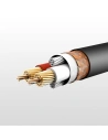 Wholesale UGREEN AV130 XLR/XLR Cable 2m - UGR1663 - {ean13} - Hurt