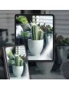 Hurtownia GSM - Folia de protecție Whitestone All-in-one Samsung Galaxy Z Fold 5 Clear [2+2+2 PACK] - WSD85 - {ean13} - Hurt