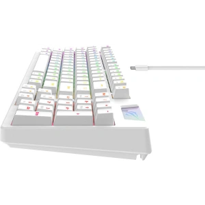 Wholesale Havit KB885L RGB gaming mechanical keyboard white - HVT218 - {ean13} - Hurt